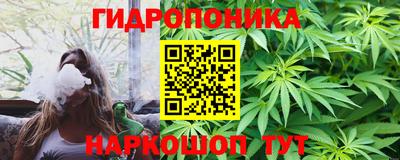 индика Комсомольск-на-Амуре
